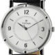 Titan 1639SL03 Analog Watch  - For Boys, Men