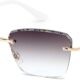 FEISEDY Stylish Metal Reader Sunglasses for Woman Trendy Retro Reading Glasses UV400 Protection B0295
